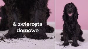Teppiche der neuen Generation - waschmaschinenfest DYWANY KOMFORT EMMA