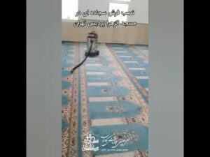 Teppichkauf in der Masjid al-Zahra, Pardis, Teheran