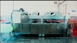 Teppichreinigung Maxi (Detaillierte Reinigung)