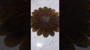 Teppichreinigung befriedigend🌼🌼