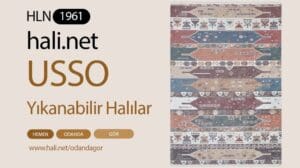 USSO Etnische waschbare Teppich HLN1961