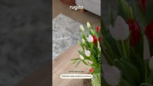VINTAGE-TEPPICH FÜR DAS WOHNZIMMER | TEPPICHE RUGITO 🧡