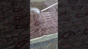 Waschen von antiken Teppichen in Teheran, Iran.