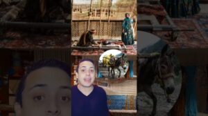 Wie die Perser ihre Teppiche während des Zweiten Weltkriegs schützten. #Geschichte #nescritor