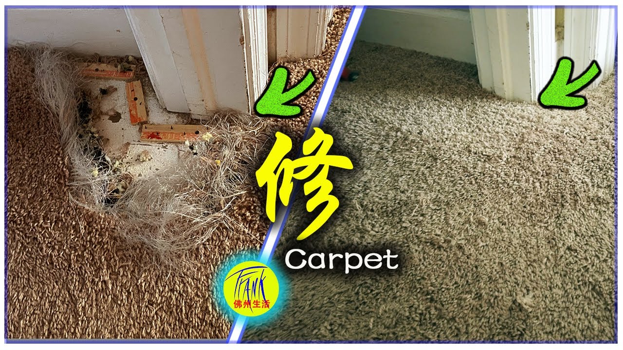 Wie man einen durch kleine Tiere beschädigten Teppich repariert – Haustierschaden Teppichreparatur【Frank Floridaleben DIY】