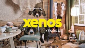 Zurück zur Natur Teppiche! | Xenos Werbung