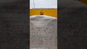 „29,99 € nur die Vintage-Teppiche auf Lestapisdumonde.com Sammlung PRINT oder Markt Porte Montreuil“