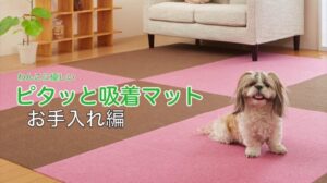 „【Haftende Matten】Pflegeanleitung 【Pepi-Kanal】“