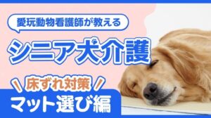 „【Von Tierpflegeexperten überwacht】Wie man die richtige Matte für die Pflege älterer Hunde wählt“