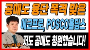 [경제싸부] 공매도 융단 폭격 맞은 에코프로, POSCO홀딩스. 저도 공매도 청원했습니다! │ 김민수 대표, 윤석천 경제평론가, 주식, 주가, 경제