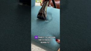 BISSELL SpotClean Pet Pro: Auspacken & Tutorial – Mein Polster- & Teppichreiniger