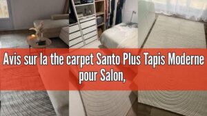 Bewertung des Santo Plus modernen Teppichs für Wohnzimmer, Schlafzimmer, beige, im Bohème-Stil