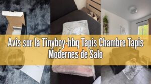 Bewertung des Tinyboy-hbq Teppichs für das Schlafzimmer, moderner Wohnzimmerteppich, extra weicher Hochflorteppich