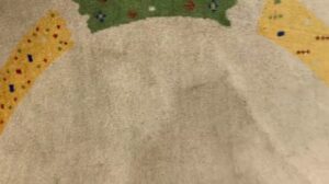 Handgeknüpfter Gabbeh-Teppich – Traditionelle Eleganz für Ihr Zuhause! 🏡✨