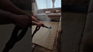 Teppich reinigen: So wird er wieder wie neu. Profi-Tipps gibt es bei mir. DennyWash