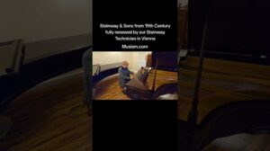 #steinway #kunstwerk #antik #kunstrestaurierung #klavierrestaurierung #dekorativeobjekte #klavier #pianoforte
