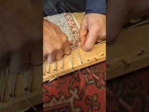 „Wurzelbehandlung des Seidenteppichs aus Qom“