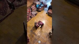 8-Meter Authentischer Heris-Teppich • Naturfarben & Handgesponnene Wolle #teppich #inneneinrichtung #perserteppich