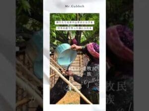 Die Geheimnisse der nomadischen Gabbeh-Weberei der Qashqai