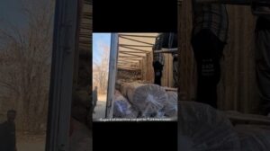 Iranische maschinell hergestellte Teppiche: Qualität und Schönheit auf dem Markt in Turkmenistan #shorts #short #tiktok