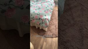 RABATTKODE RABATTREGN20 – 20% auf Trendcarpet | Runde Teppiche & helle Vorhänge fürs Schlafzimmer #Teppich #Vorhang