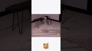 Vintage Teppich 3069 in Kaffeegrün