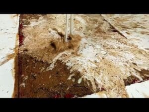 „Die Reinigung des kostbaren Kashan-Teppichs aus dem Schlamm hat ein kraftvolles und befriedigendes Gefühl“