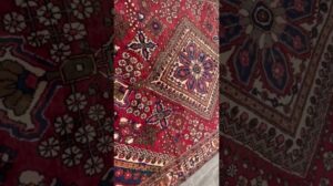 7'2 x 10 Persischer Bakhtiari-Teppich